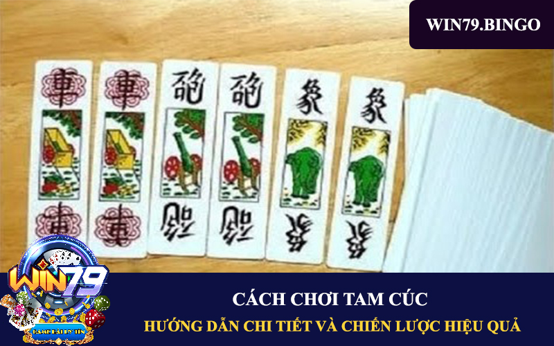 cach-choi-tam-cuc-2