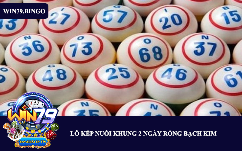 lo-kep-nuoi-khung-2-ngay-rong-bach-kim-1